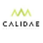 Calidae