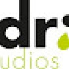 Drip Studios | branding y diseño gráfico