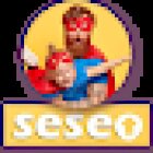 SESEO - Agencia SEO en Sevilla