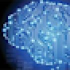 INFOELCHE INFORMATICA