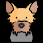 Masha Agency MKT - Website en 10 días!