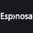 Agencia Marketing Digital - Espinosa