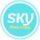 Sky Marketing Agencia Digital