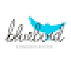 bluebird comunicación