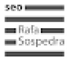 Rafa Sospedra Consultor Seo