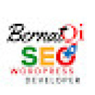 Consultor SEO Girona | Posicionamiento Web | SEO Local | BernatQi