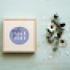 Arándano Estudio Creativo