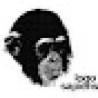 Logosapiens Marcas Muy Pensadas