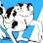 Reis arte digital S.l.