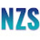 NZS - Agencia de Publicidad Digital