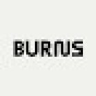Burns