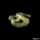 Castigea Estudi de Fotografia, Publicitat i Comunicació