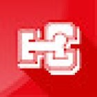 The Community Experience