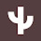 CACTUS Lab - Investigación cualitativa y comunicación