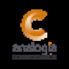 Analogía Comunicación Digital SL