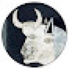 Crazy Ones Comunicación