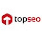 ️ Top SEO