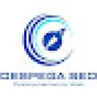 Despega SEO - Agencia SEO en Almería