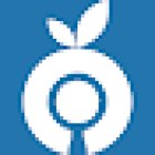 Agencia SEO SEM Google Partner ValenciaSEO