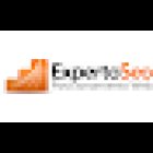 Experto SEO , Posicionamiento web en Toledo