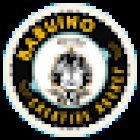 Babuino - Agencia de Marketing Digital y Comunicación