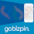 gobizpin