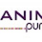 Animación Puntos de Venta-Escaparatismo y visual merchandising