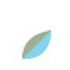 Semilla Comunicación