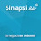 Sinapsi Estrategia Digital, S.L.