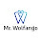 Mr. Wolfango