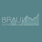 Braun Marketing & Consulting