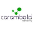 Carambola Marketing | Tu negocio como lo imaginas