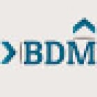 BDM Consultoria