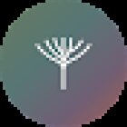 Branding Madrid | madeinyou.es