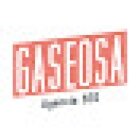 Gaseosa · Agència SEO · Màrqueting digital estratègic · Posicionament web