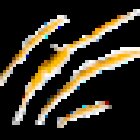 Marketing Animals - Ibiza & Formentera