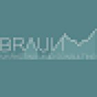 Braun Marketing & Consulting