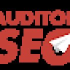 AuditorSEO - Agencia de Negocio Digital