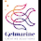 Gelmarine Paginas web y diseño grafico Cantabria