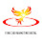 FENIX 360 DIGITAL - Publicidad y Marketing Digital