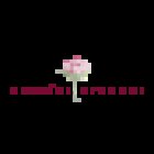 Peonías Eventos | Wedding Planner Madrid (Organizador de Bodas) & Event Planner