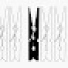 LamasGarrido arquitectos Vigo