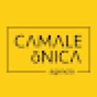 Camaleónica Agencia Creativa (Diseño Web y Marketing Digital)