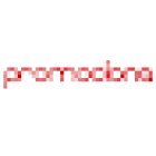 Promociona - Agencia de Marketing Digital