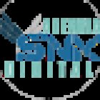 Snk Agencia Digital