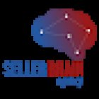 Seller Brain Agency