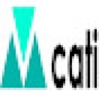 Cati Marketing Sevices