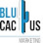 BluCactus Agencia Marketing Digital Madrid