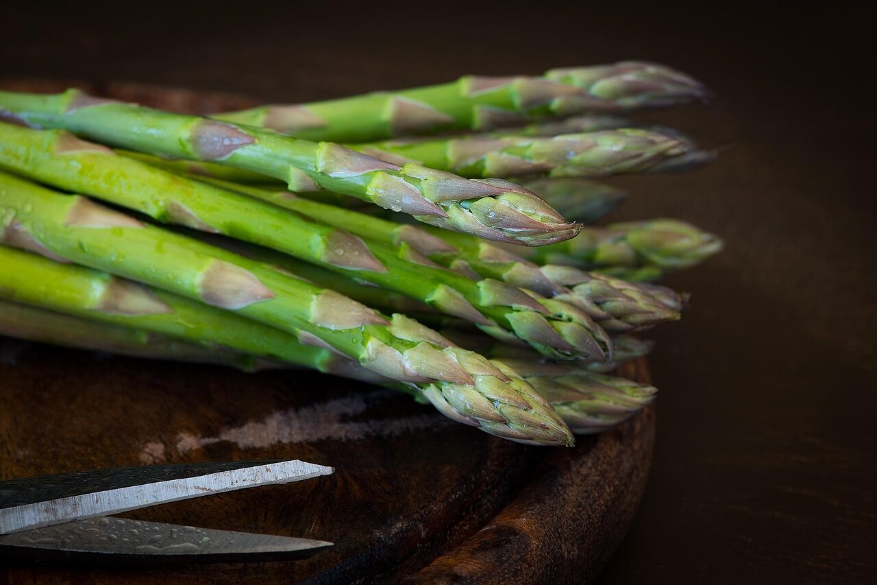 En esta imagen, vemos unos cuantos espárragos, un alimento rico en prebióticos