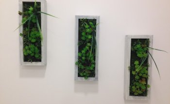 Nutrición Arturo Esteve